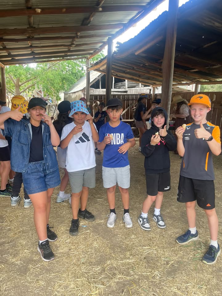 1064353905193300_1466674164961270-1