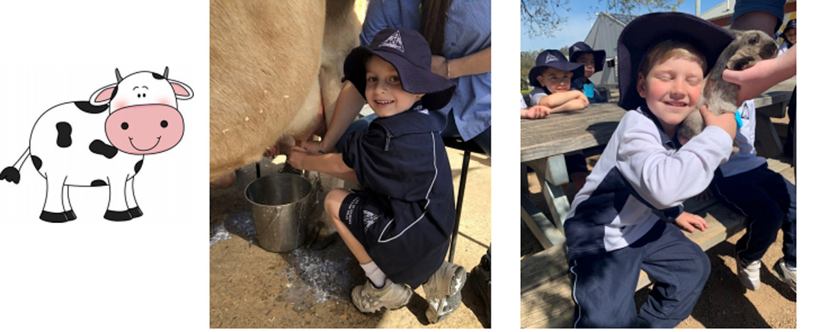 Our Lady of Lourdes Baulkham Hills students on excursion