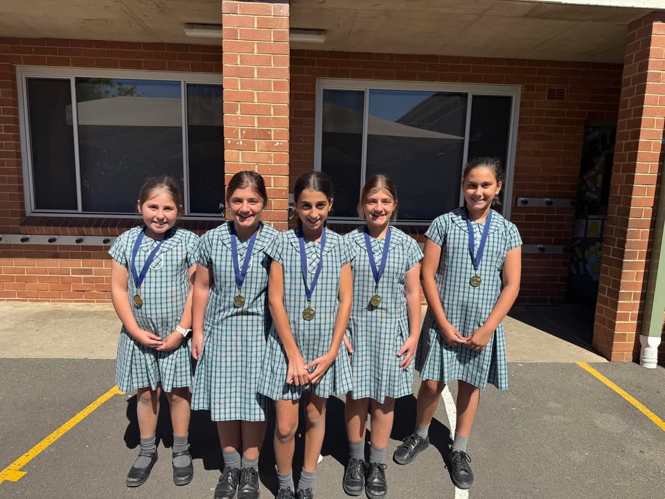 1064353905193300_1482253930069960-1