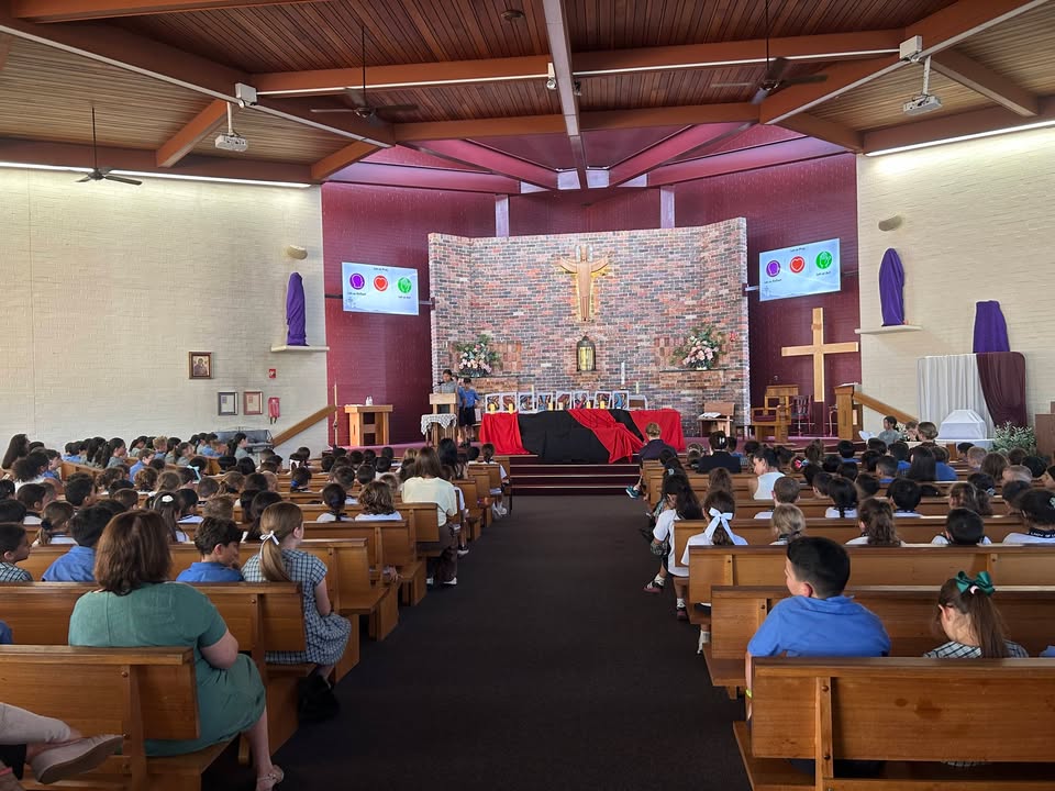 1064353905193300_1603691414592877-1